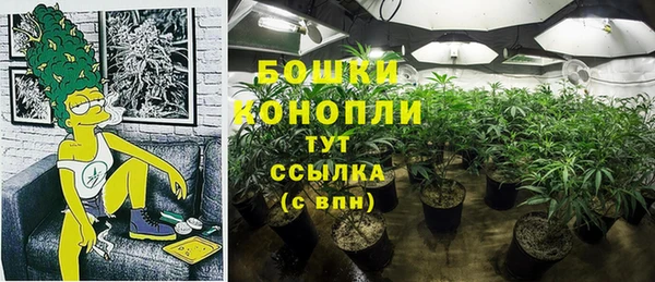 a pvp Верея